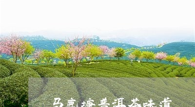 马鹿塘普洱茶味道/2023110859492