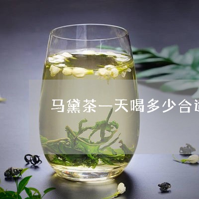 马黛茶一天喝多少合适/2023060829583