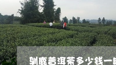 驯鹿普洱茶多少钱一罐/2023092688168