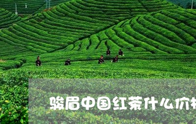 骏眉中国红茶什么价格/2023071535048