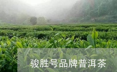 骏胜号品牌普洱茶/2023110928260