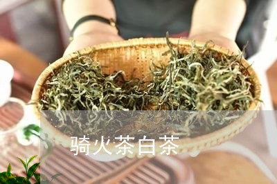 骑火茶白茶/2023051279360