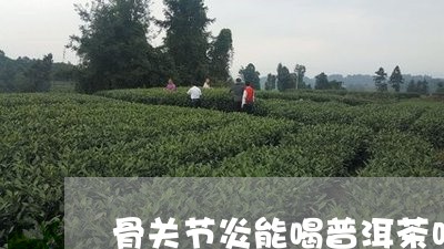 骨关节炎能喝普洱茶吗/2023092519482