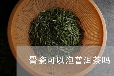 骨瓷可以泡普洱茶吗/2023081609491