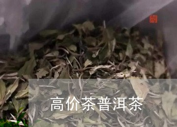 高价茶普洱茶/2023042812