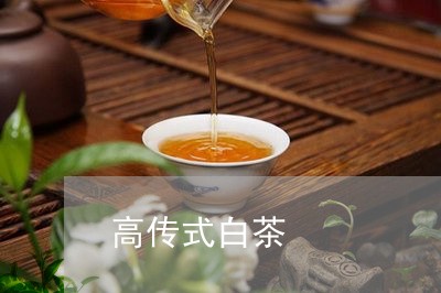 高传式白茶/2023051289485