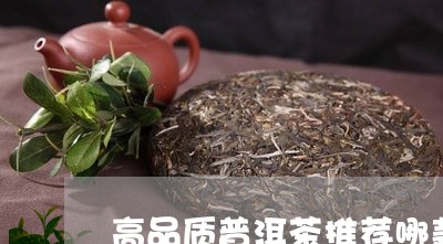 高品质普洱茶推荐哪款好喝/2023121879573