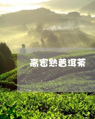 高密熟普洱茶/2023042768207