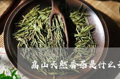 高山天然香茶是什么茶/2023071410402