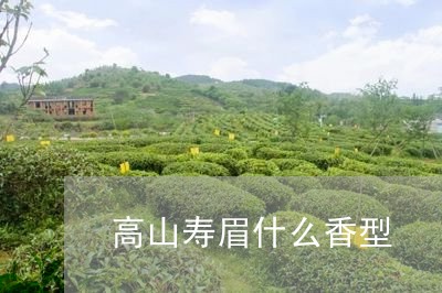 高山寿眉什么香型/2023090812715