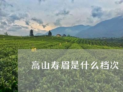 高山寿眉是什么档次/2023091316191