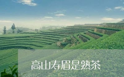 高山寿眉是熟茶/2023112452626