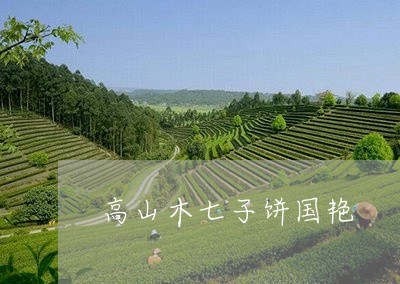 高山木七子饼国艳/2023042202938