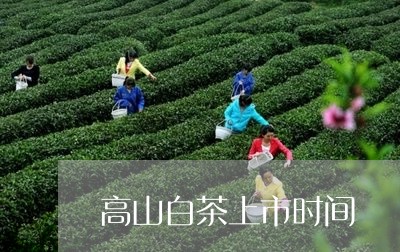 高山白茶上市时间/2023071267370