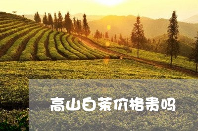 高山白茶价格贵吗/2023071254928