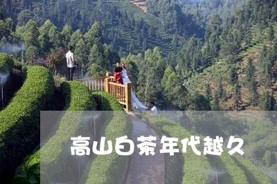 高山白茶年代越久/2023071292927