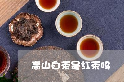 高山白茶是红茶吗/2023071263037