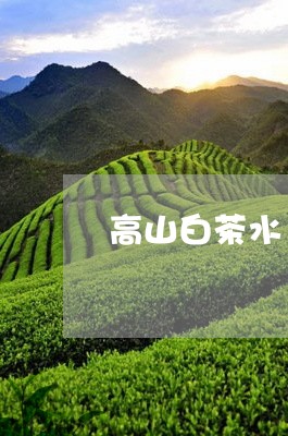 高山白茶水/2023051269583