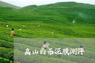 高山白茶泥膜测评/2023071217572