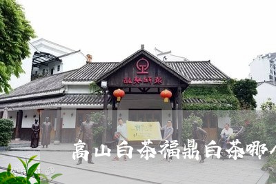 高山白茶福鼎白茶哪个好喝/2023111684958