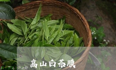 高山白茶膜/2023051255059