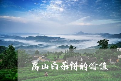 高山白茶饼的价值/2023071269491