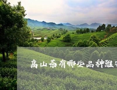 高山茶有哪些品种雅安名山茶厂/2023053165936