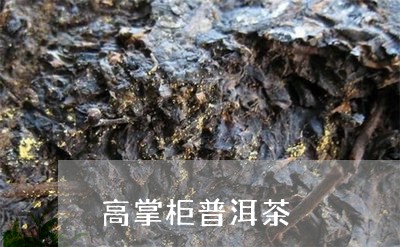 高掌柜普洱茶/2023081881704