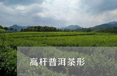 高杆普洱茶形/2023042794848