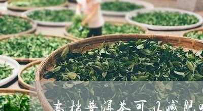 高档普洱茶可以减肥吗/2023100894925