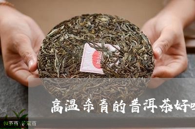 高温杀青的普洱茶好吗/2023062781726