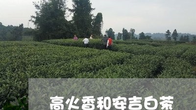 高火香和安吉白茶/2023071289473