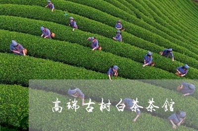 高端古树白茶茶馆/2023071261894