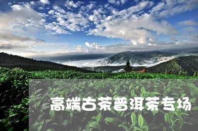 高端古茶普洱茶专场/2023070928371