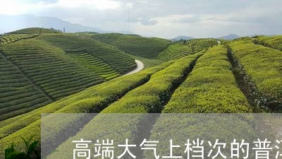 高端大气上档次的普洱茶名/2023110207351