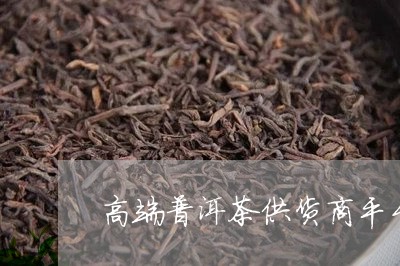 高端普洱茶供货商平台排名/2023121827140