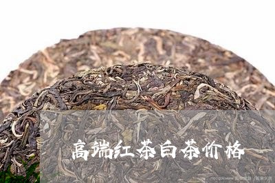 高端红茶白茶价格/2023071221593