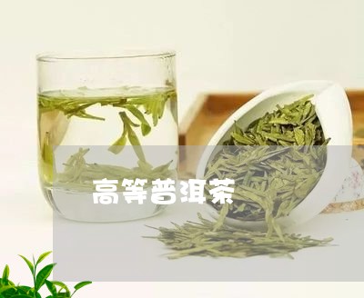 高等普洱茶/2023090697480