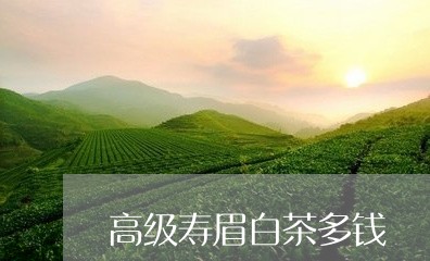 高级寿眉白茶多钱/2023090805059