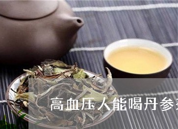 高血压人能喝丹参茶吗/2023060804837