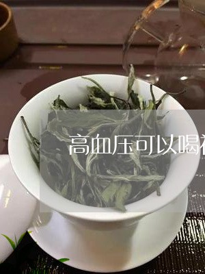 高血压可以喝福鼎白茶/2023120898151