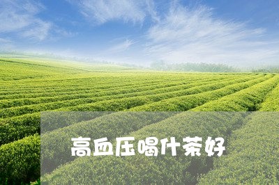 高血压喝什茶好/2023042957542