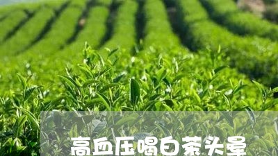 高血压喝白茶头晕/2023071200371