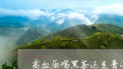 高血压喝黑茶还是普洱茶好/2023083124060