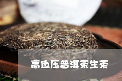 高血压普洱茶生茶/2023120465937