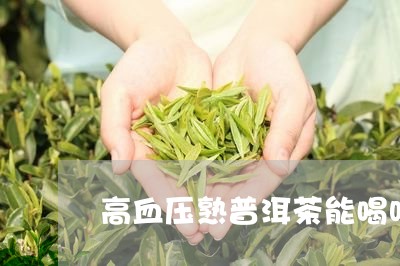 高血压熟普洱茶能喝吗/2023072234058