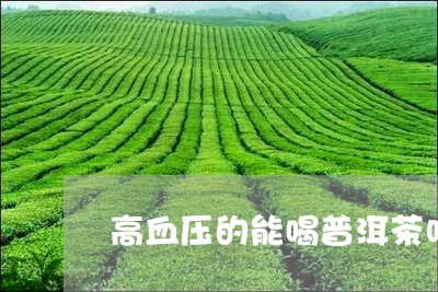 高血压的能喝普洱茶吗/2023092600826