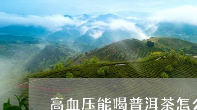 高血压能喝普洱茶怎么办呢/2023051013056