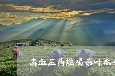 高血压药能喝茶叶水吗/2023061092693