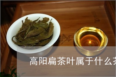 高阳扁茶叶属于什么茶/2023061005249